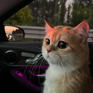 绝区零同人18❌本子图片
